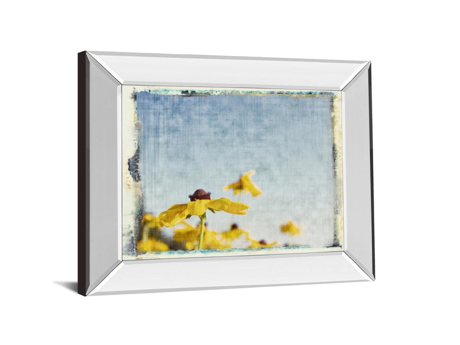 Blackeyed Susan's I By Meghan Mc Sweeney - Mirror Framed Print Wall Art - Yellow