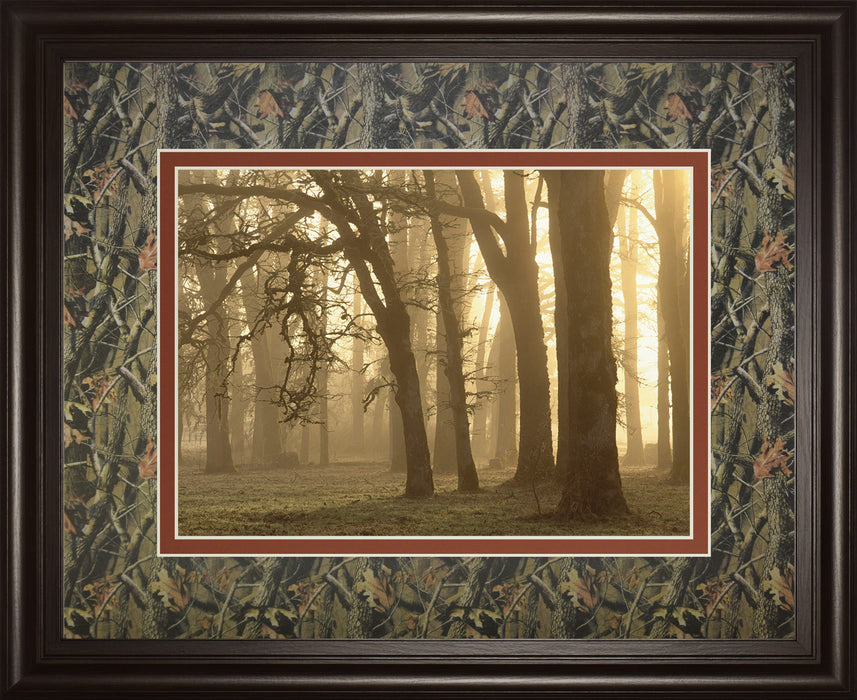 Woodland Sweep By Dennis Frate - Framed Print Wall Art - Black