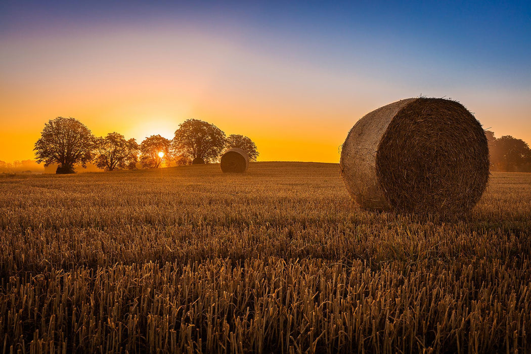 Tempered Glass With Foil - Hay Bale - Light Brown