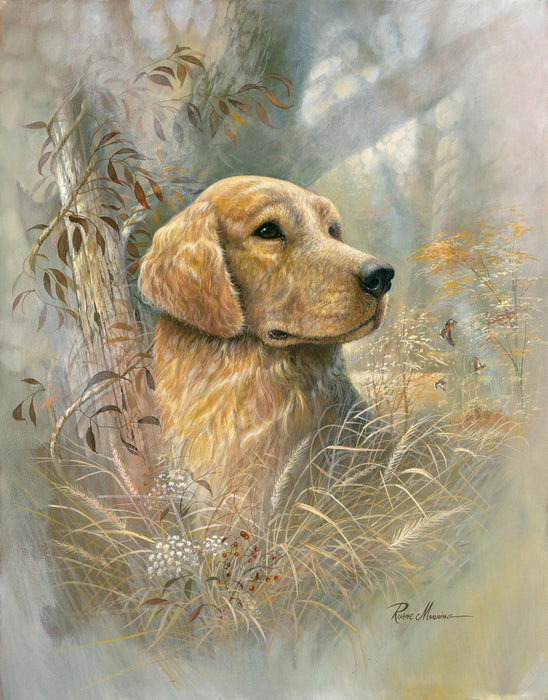 Framed - Golden Beauty By Ruane Manning - Gold