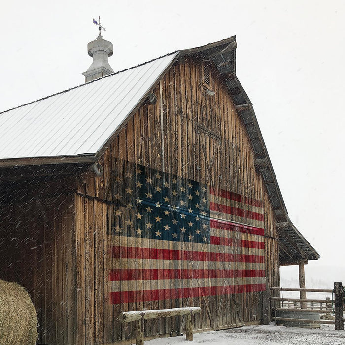 America Proud By Carol Robinson (Small) - Light Brown