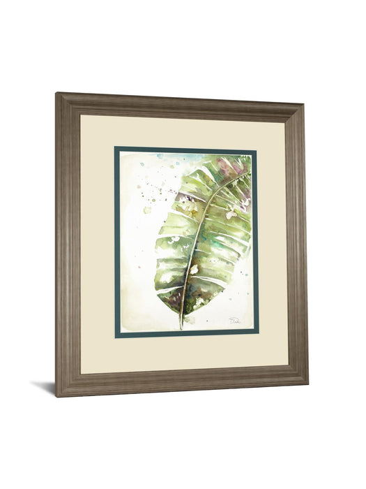 Watercolor Plantain Leaves Il By Patricia Pinto - Framed Print Wall Art - Green