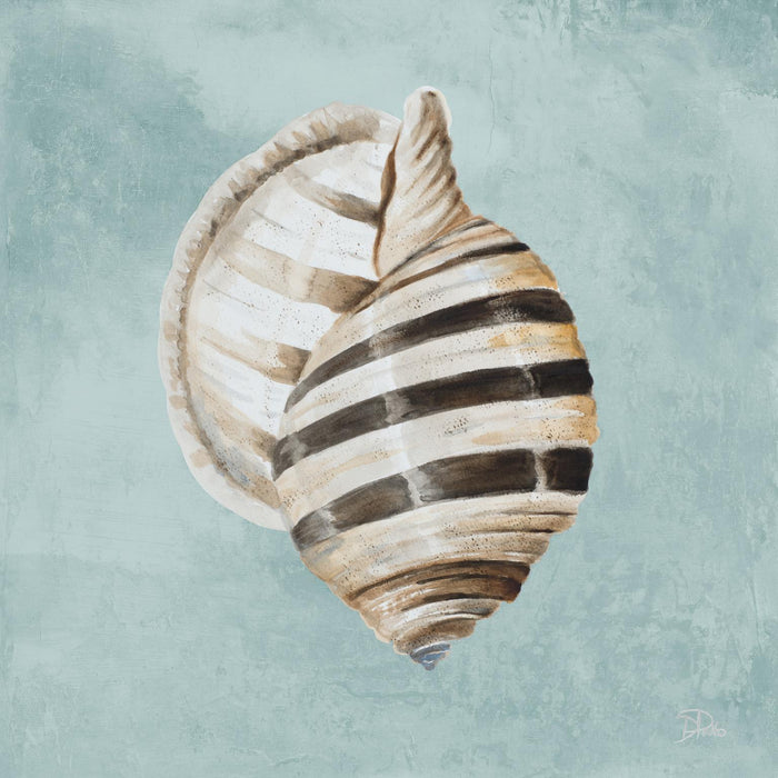 Modern Shell On Teal I By Patricia Pinto - Light Blue