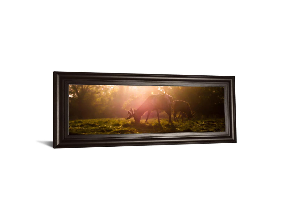 Morning Haze By Joe Reynolds Wall Art - Dark Brown