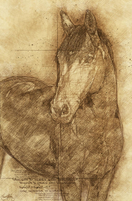 Sketched Horse By Elizabeth Medley - Light Brown