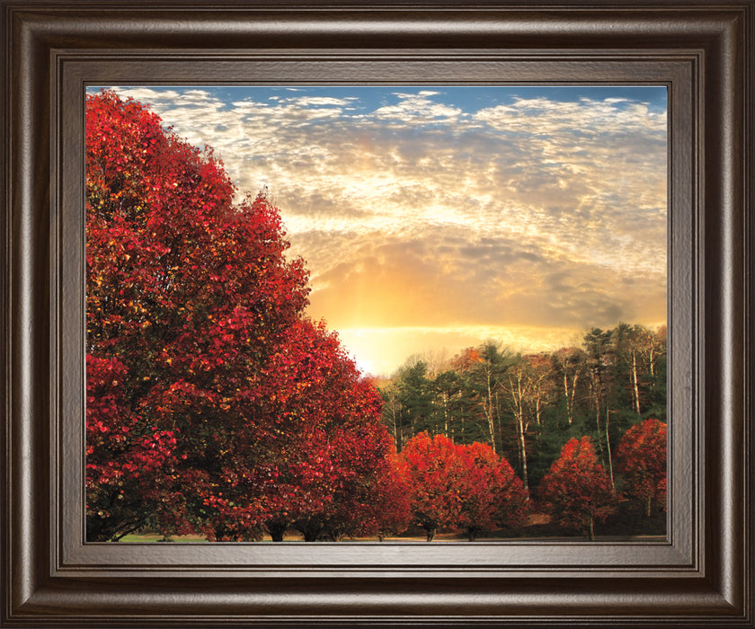 Crimson Tress By Celebrate Life Gallery - Framed Print Wall Art - Red