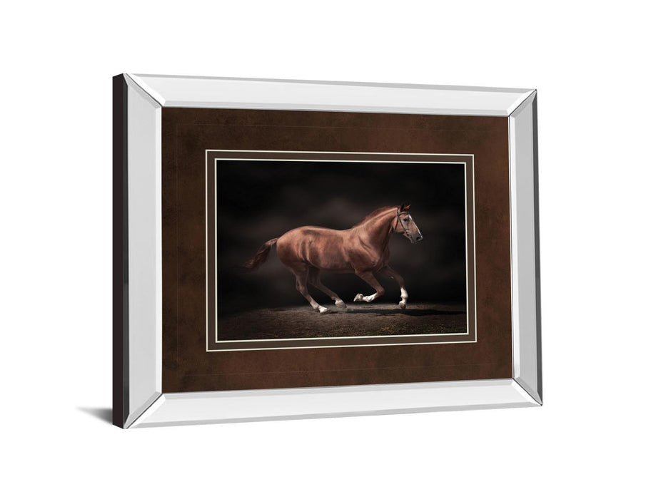 Stallion On Black By Edoma Photo - Mirror Framed Print Wall Art - Dark Brown