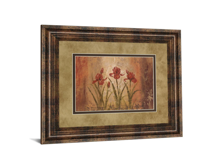 The Iris Style By Vivian Flasch - Framed Print Wall Art - Red