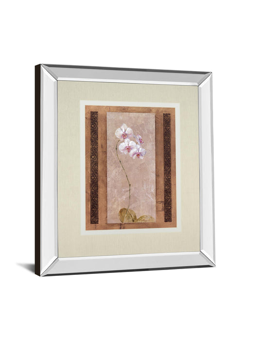 Contemporary Orchid I By Carney - Mirror Framed Print Wall Art - Pink