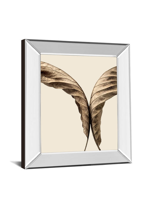 Turning Leaves Il By Jeff Friesen - Mirror Framed Print Wall Art - Dark Brown