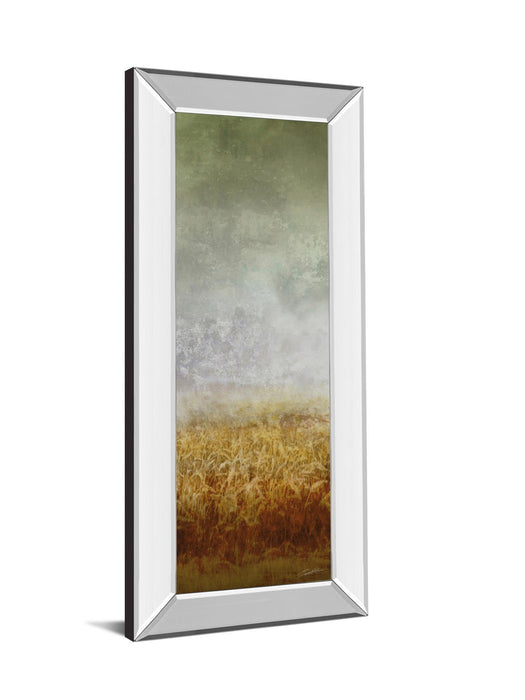 Lush Field I By John Butler - Mirror Framed Print Wall Art - Dark Gray