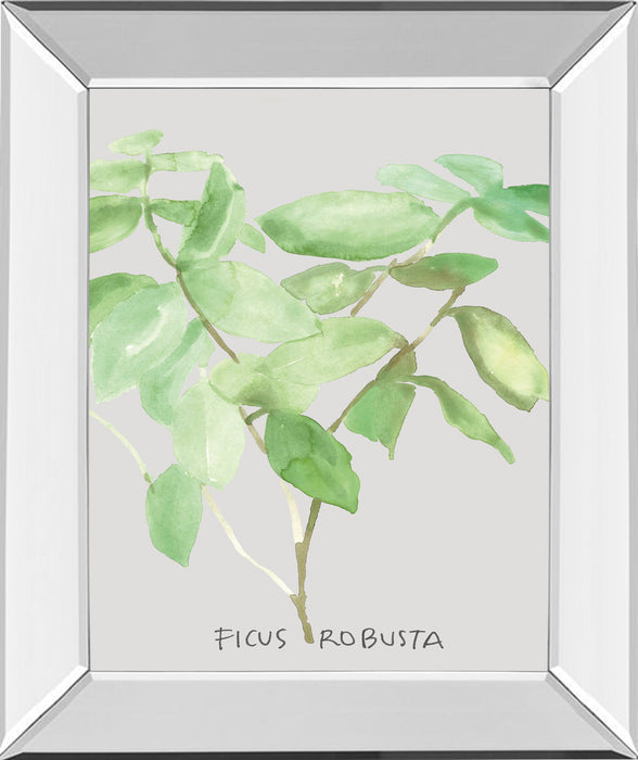 Ficus Robusta By Katrien Soeffers - Mirror Framed Print Wall Art - Green