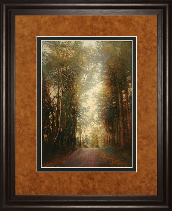 Road Of Mysteries Il By Amy Melious - Framed Print Wall Art - Green