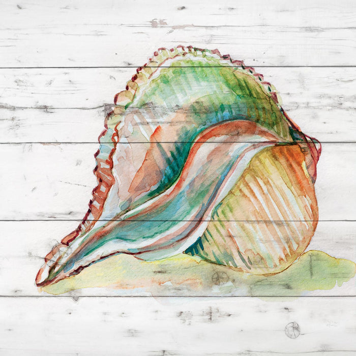 Tye Dyed Shell II By Carol Robinson - Silver - Pearl Silver